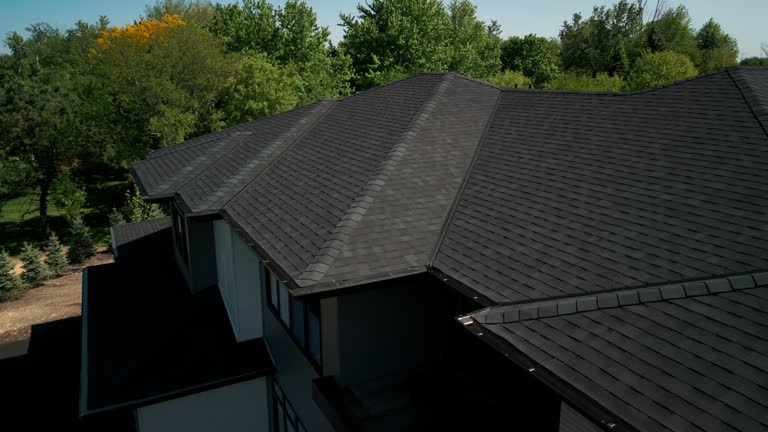 Best Roof Moss and Algae Removal  in Hempstead, TX