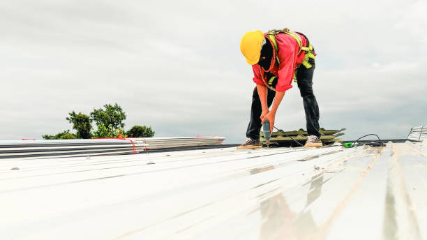 Best Roof Ventilation Installation  in Hempstead, TX
